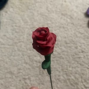 Red rose plant poke